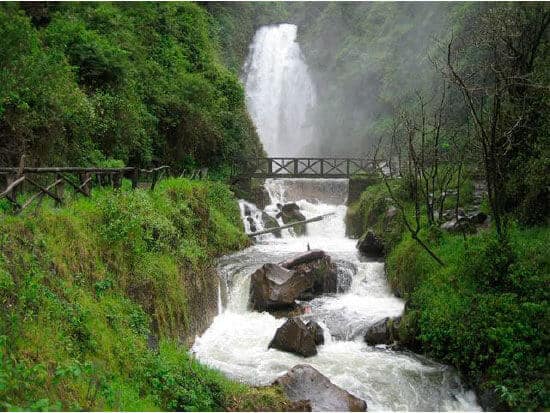 Wine tasting experience in Ecuador Andes