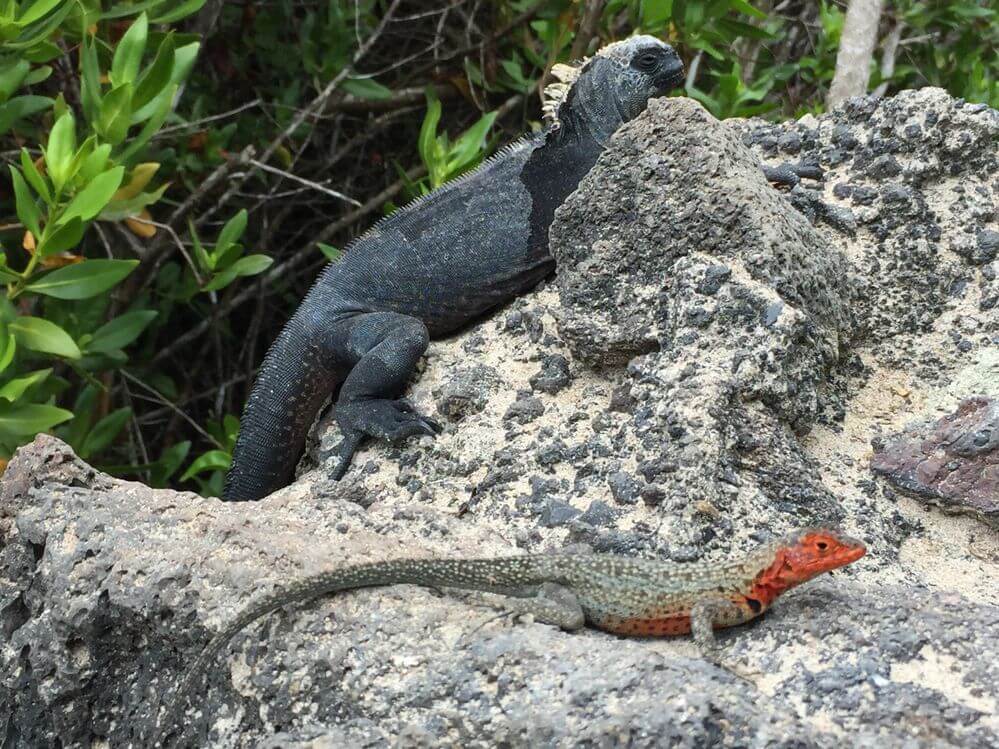 ecuador-a-paradise-in-world-travel-blog