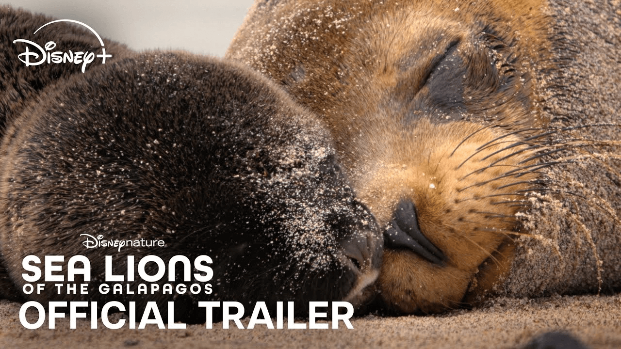 galapagos disney sea lions movie