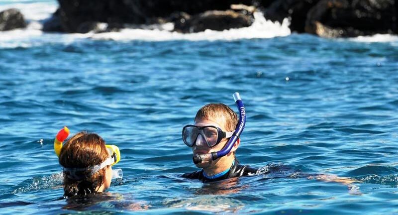 Galapagos 8 Days Tour – Affordable & Premium Island Experience