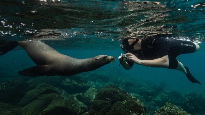 Galapagos 8 Days Tour – Affordable & Premium Island Experience