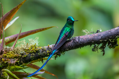 Ecuador bucket list tour