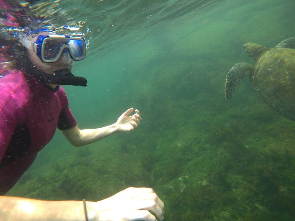 Ecuador Big Five 18 Days Tour – Complete Ecuador Highlights Experience