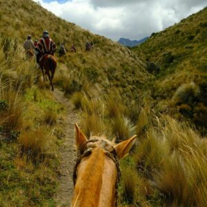 Ecuador Luxury Haciendas 8 Days Tour