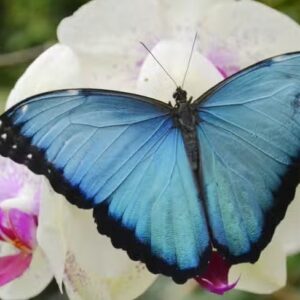 Active & Local Life in Baños 3 Days Tour