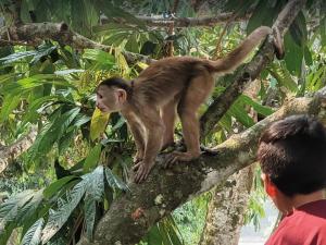 4-Day Ecuador Jungle Camping & River Paddle Adventure