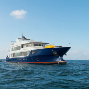 Origin, Theory & Evolve Luxury Yacht 5*