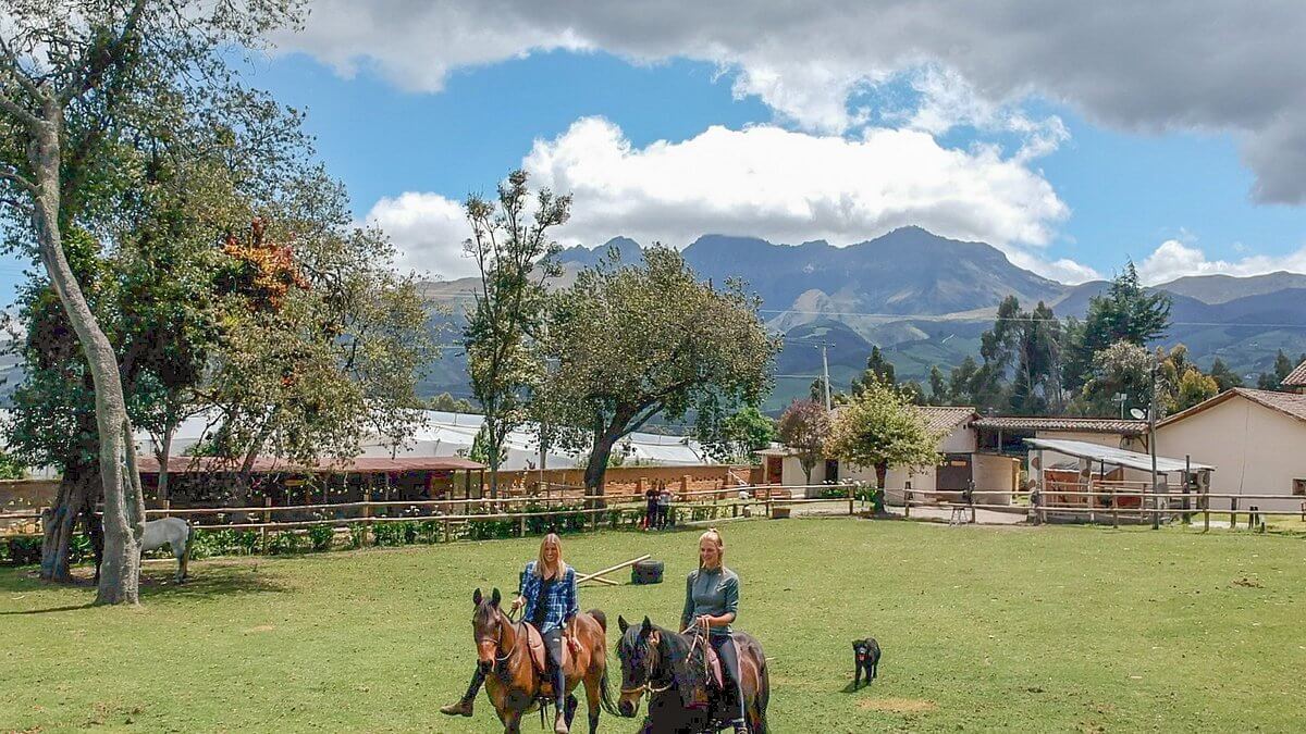 : Climbing Cotopaxi and Chimborazo Express 5 Days Tour Experience