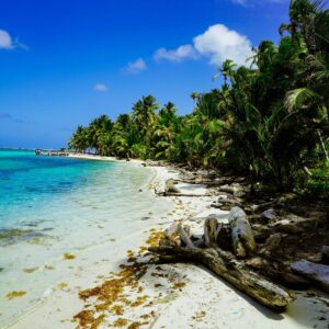 Panama City, Beaches & Mountains 8 Days Tour