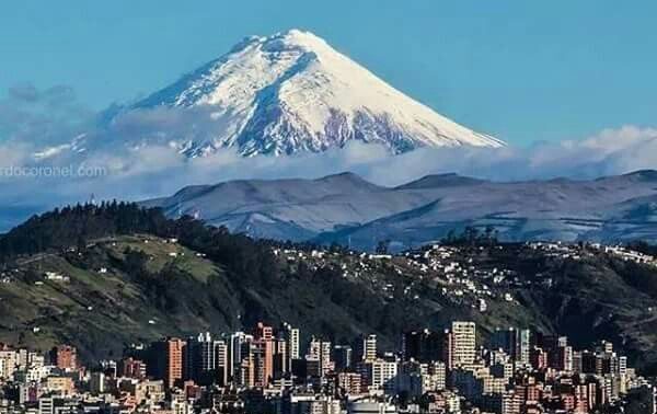 Ecuador cloud forest tour