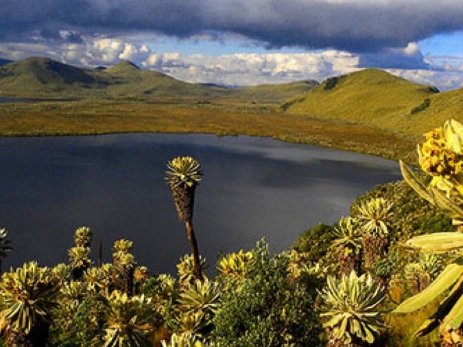 : 6 Day Northern Ecuador Tour Package – Andes, Otavalo & Cotopaxi