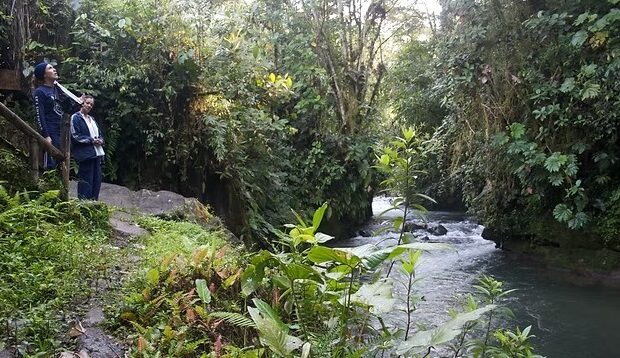 Ecuador cloud forest tour