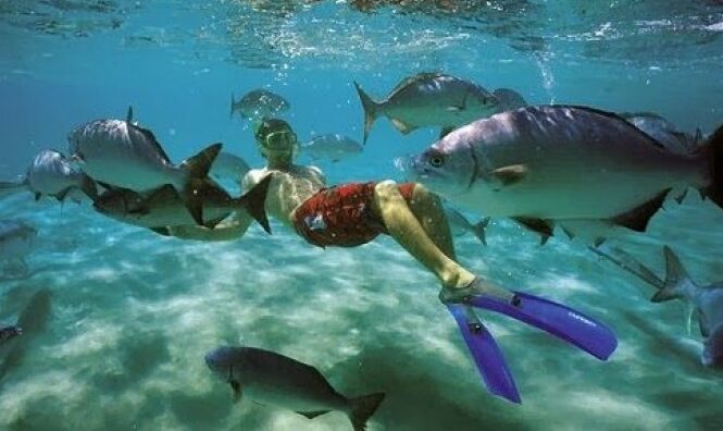 Fly Galapagos Unique 9 Day Island Hopping Experience