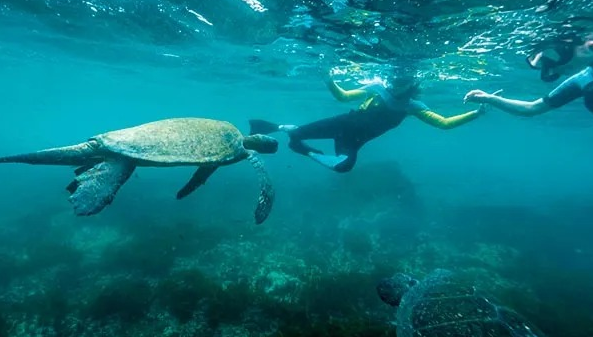 6-Days Galápagos Express Island Hopping Adventure Ecuador