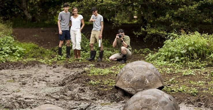 Galapagos 8 Days Tour – Affordable & Premium Island Experience