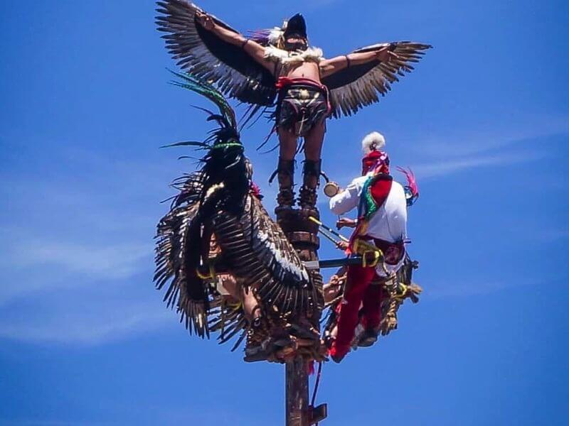 The Papantla Experience